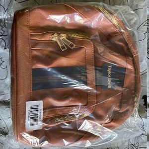 *reserved for folklorelegend* Taylor Swift mini backpack purse